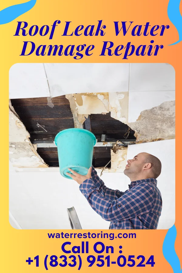Roof Leak Water Damage Repair in Princeton, SC